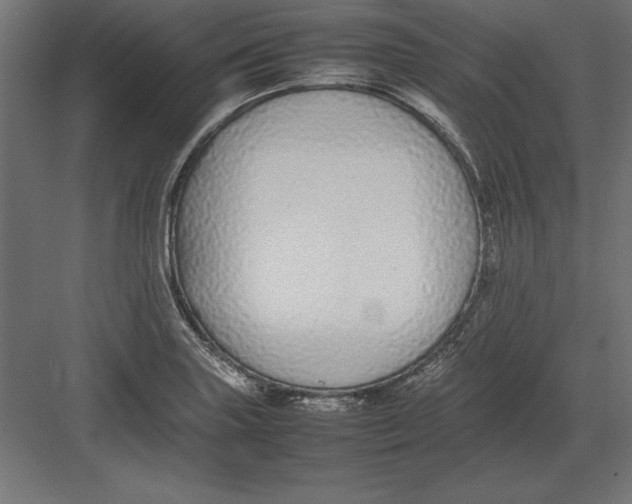 X0000082141227200702092117