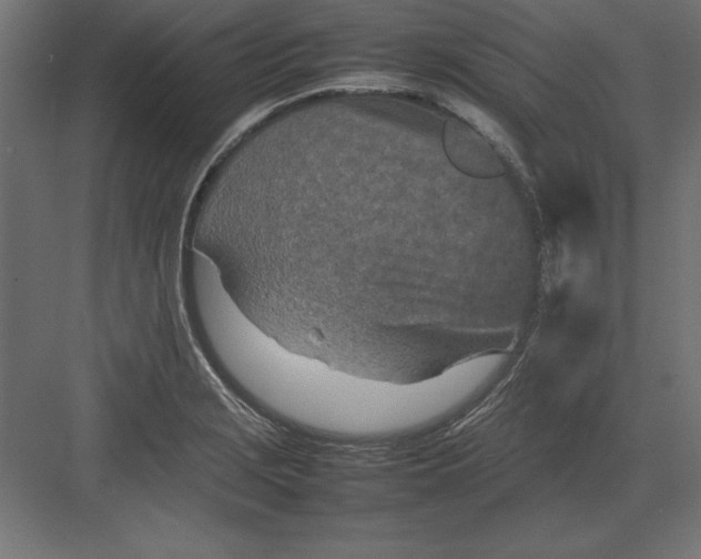 X0000082141229200702092117