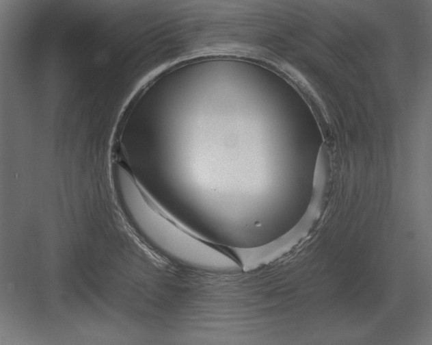 X0000082141230200702092117