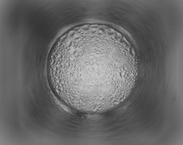 X0000082141231200702092117