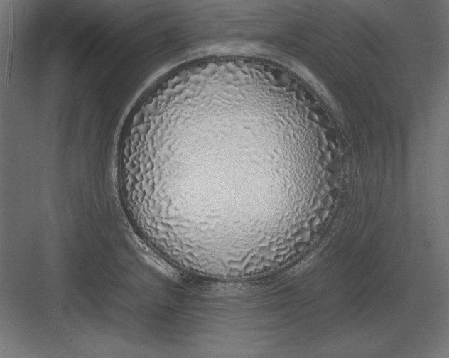 X0000082141232200702092117