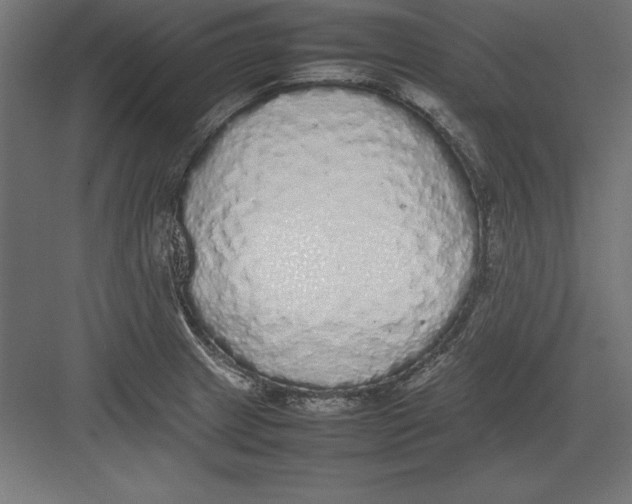 X0000082141233200702092117