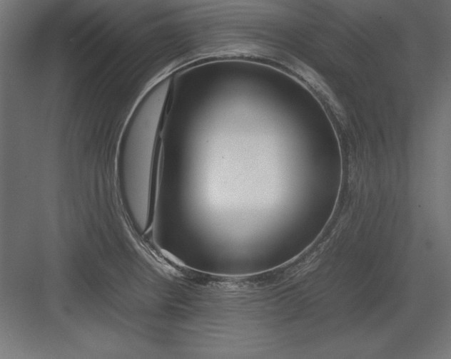 X0000082141234200702092117