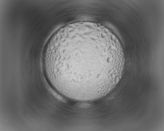 X0000082141235200702092117