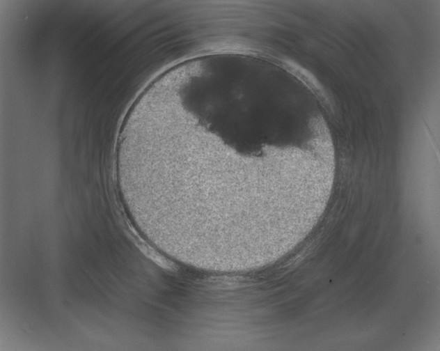 X0000082141236200702092117