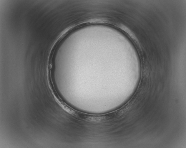 X0000082141237200702092117