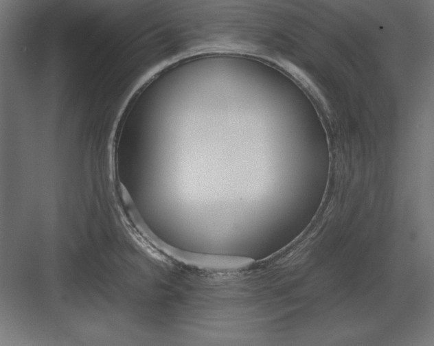 X0000082141238200702092117