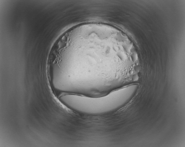 X0000082141239200702092117