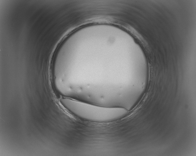 X0000082141240200702092117