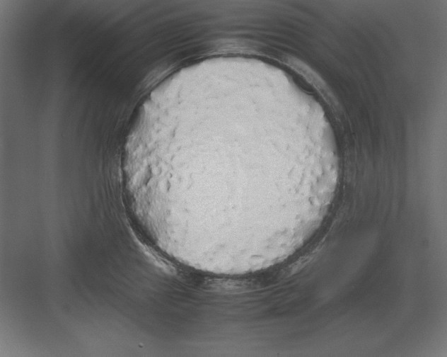 X0000082141241200702092117