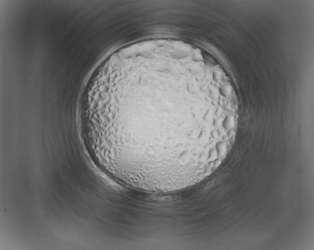 X0000082141243200702092117