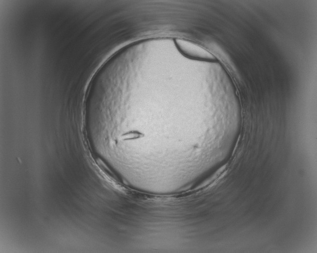 X0000082141244200702092117