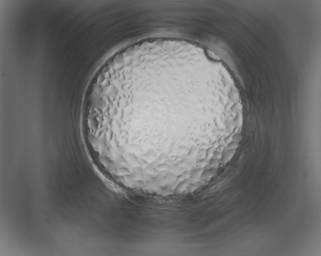 X0000082141245200702092117