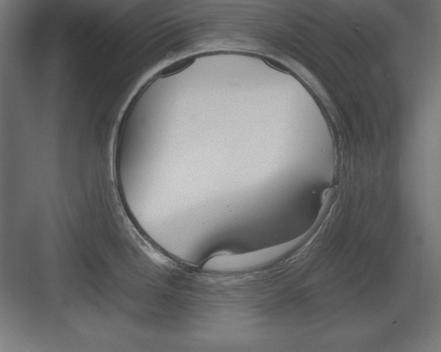 X0000082141246200702092117