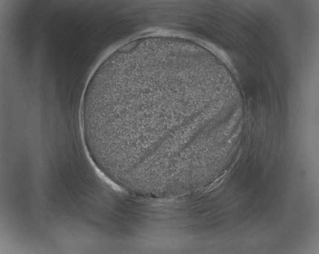 X0000082141247200702092117