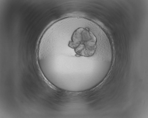 X0000082141248200702092117