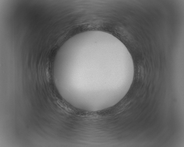 X0000082141250200702092116