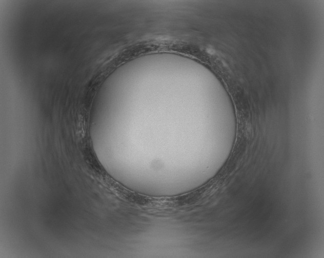 X0000082141253200702092116