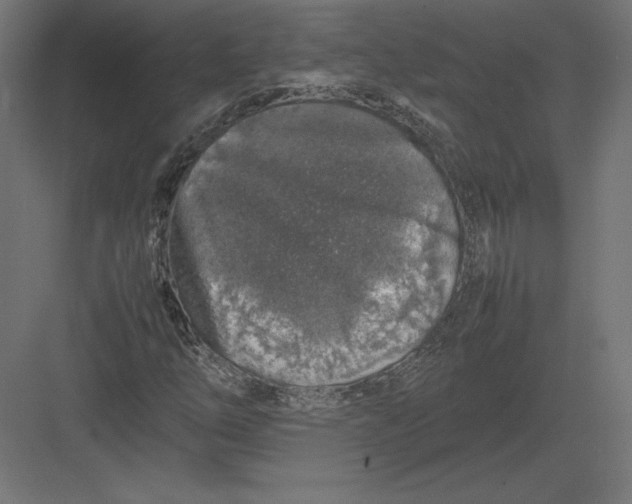 X0000082141254200702092116