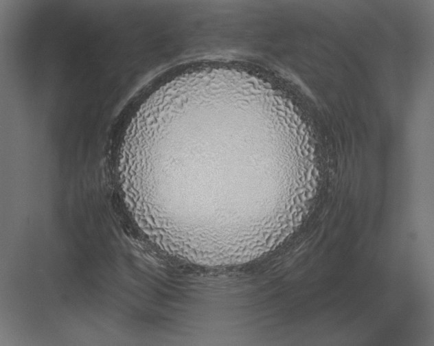 X0000082141256200702092116