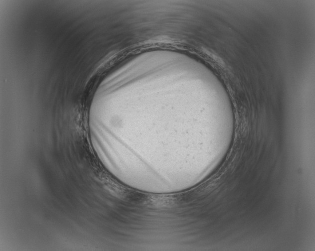 X0000082141258200702092116