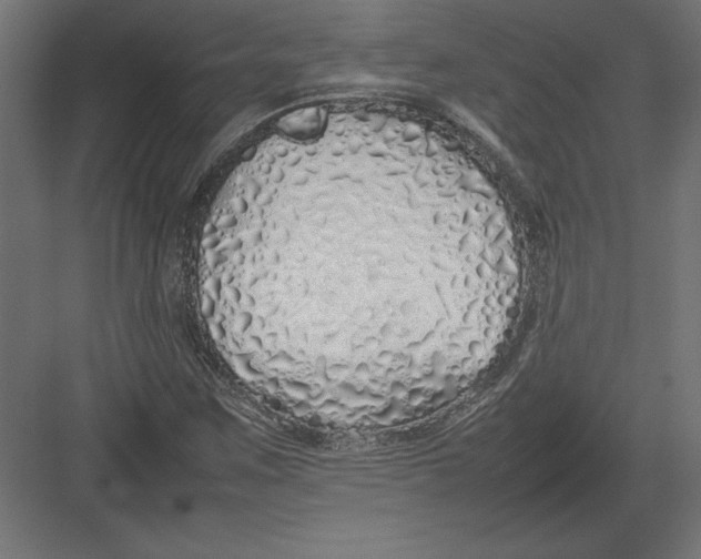 X0000082141259200702092116