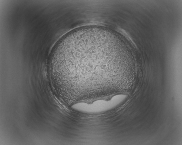 X0000082141260200702092116