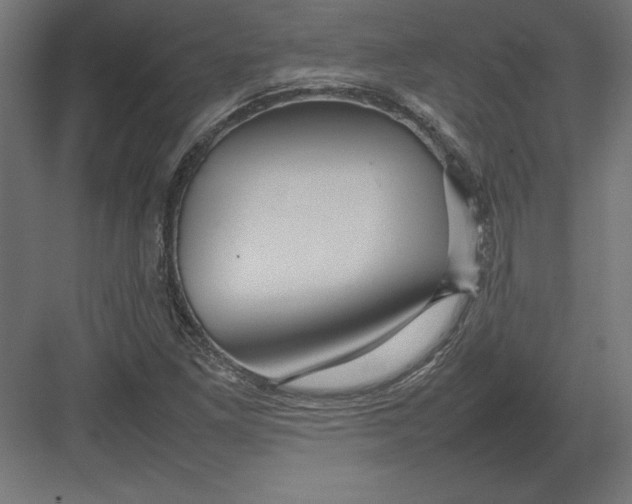 X0000082141261200702092116