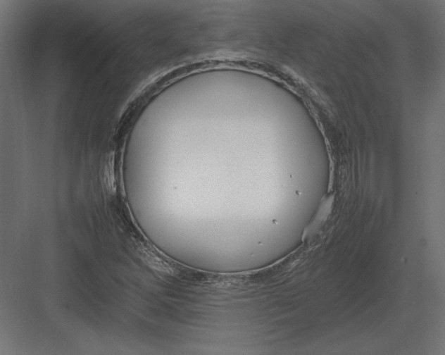 X0000082141262200702092116