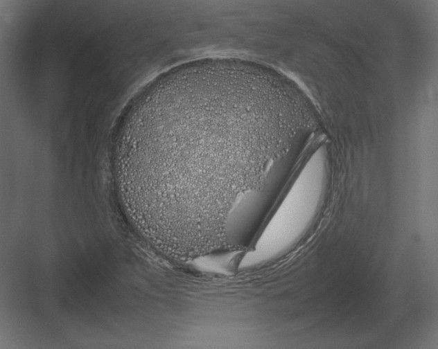 X0000082141263200702092116