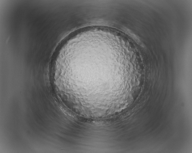 X0000082141264200702092116