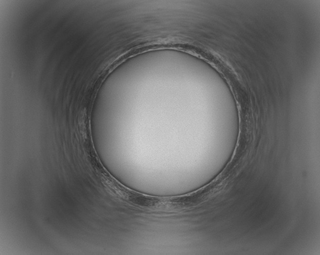 X0000082141265200702092116