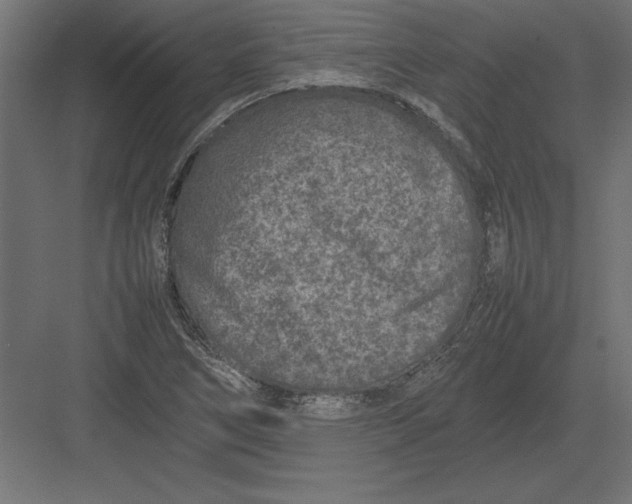 X0000082141266200702092116