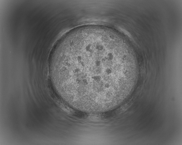 X0000082141267200702092116