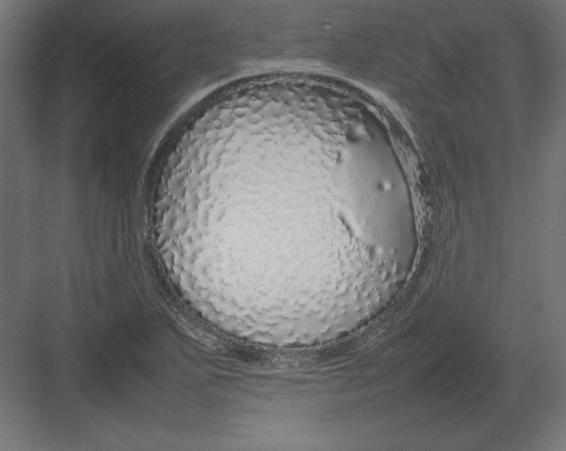 X0000082141271200702092116