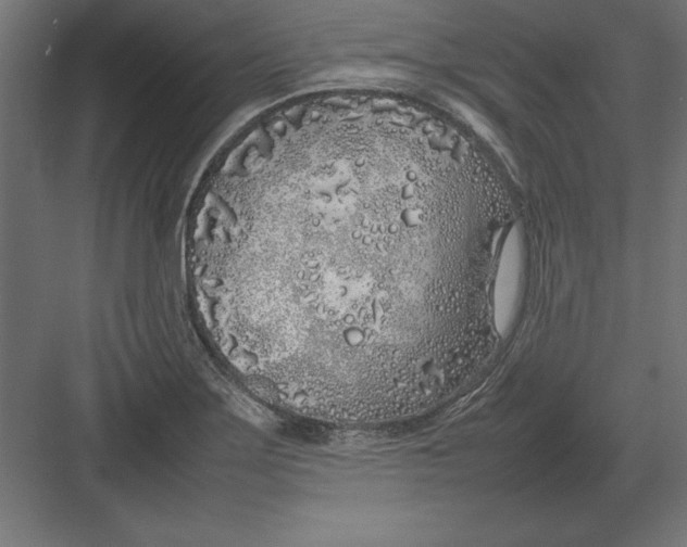 X0000082141275200702092116