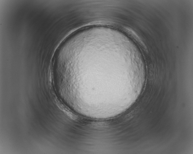 X0000082141276200702092116