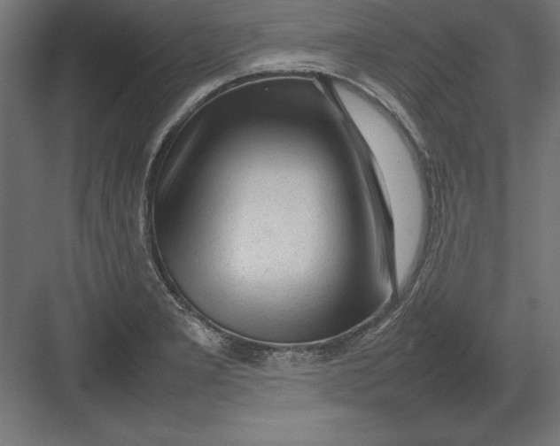 X0000082141277200702092116