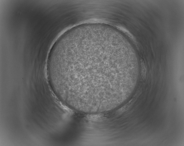 X0000082141278200702092116