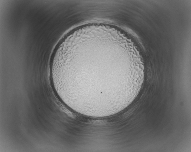 X0000082141280200702092116