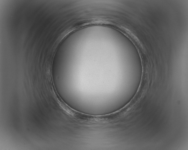 X0000082141281200702092116