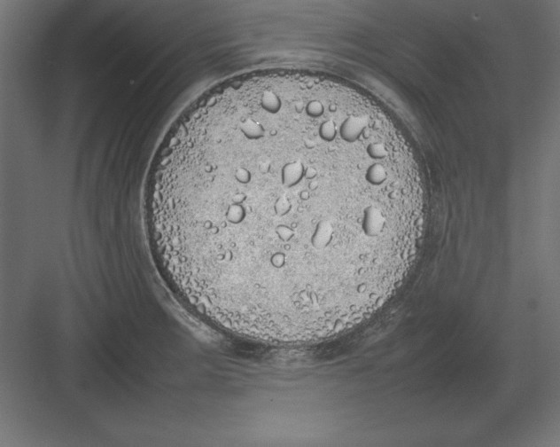 X0000082141283200702092116