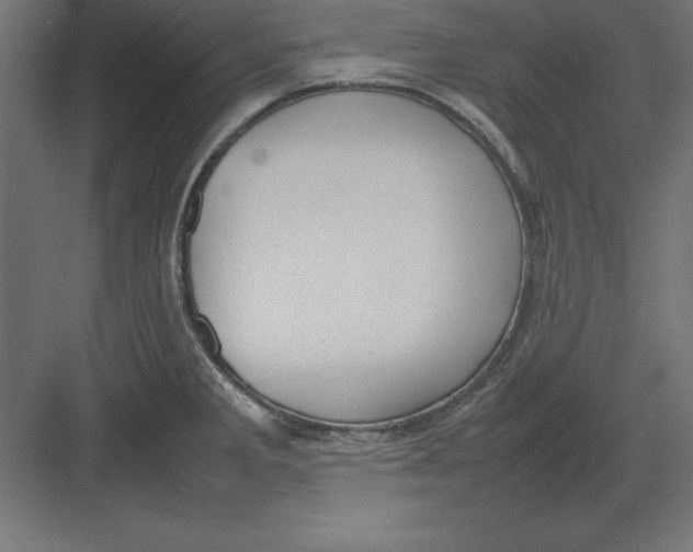 X0000082141285200702092116