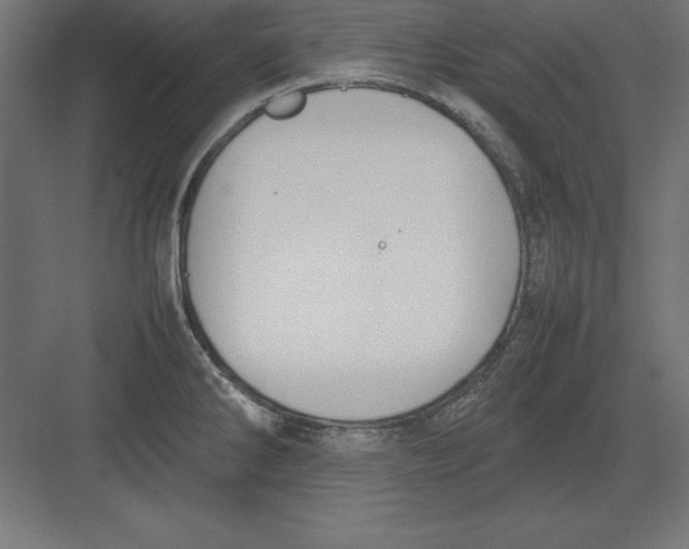 X0000082141286200702092116