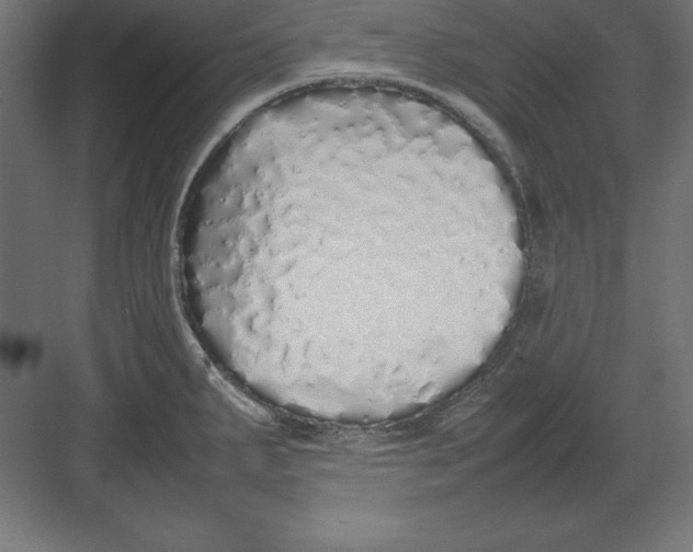 X0000082141287200702092116