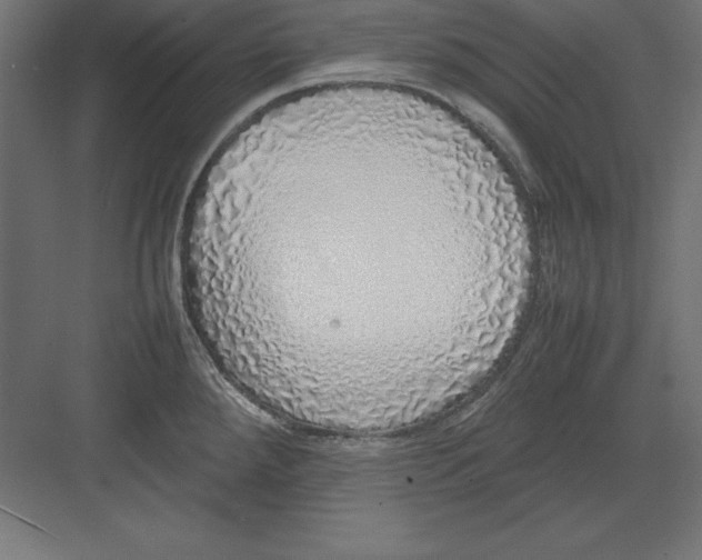 X0000082141288200702092116