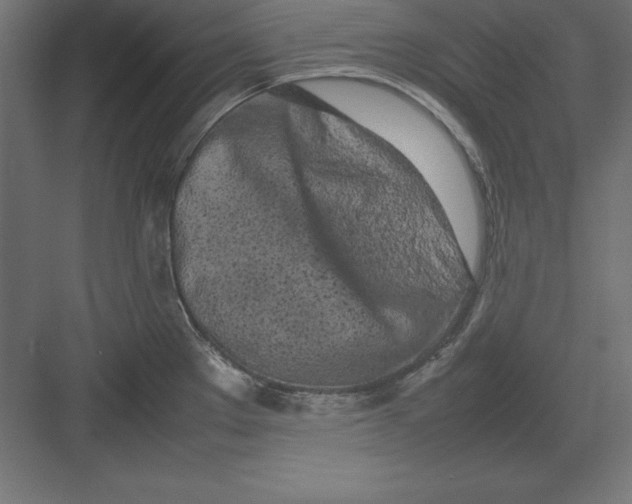 X0000082141289200702092116