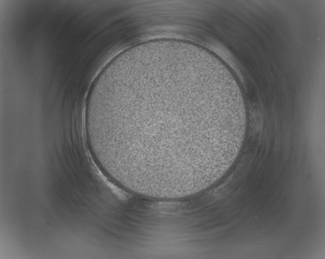 X0000082141290200702092115