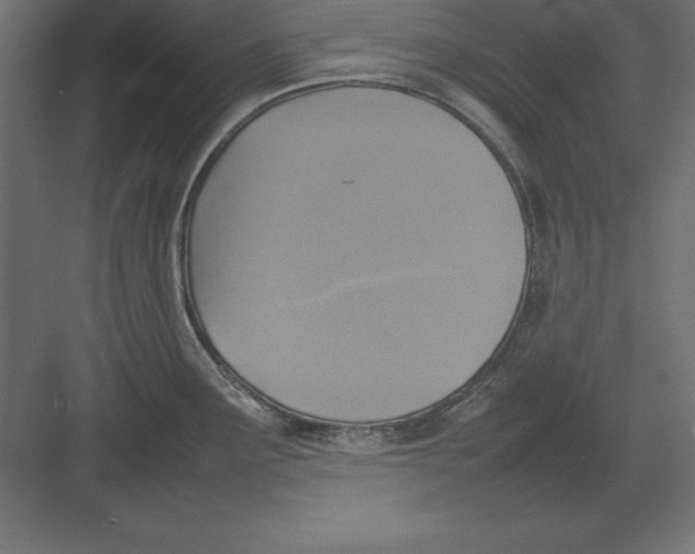 X0000082141291200702092115