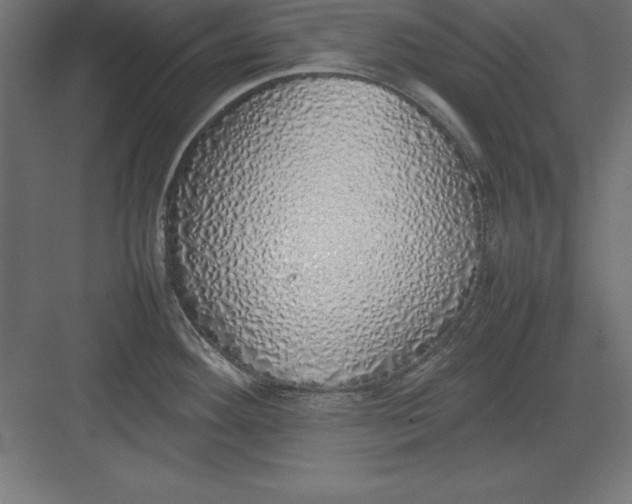 X0000082141292200702092115